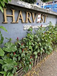 Harvest @ Woodlands (D27), Factory #510021951